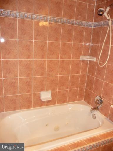 19385 Cypress Ridge Terrace, Unit 1014 Leesburg, VA 20176 - Photo 20 of 30 Bath (Master)