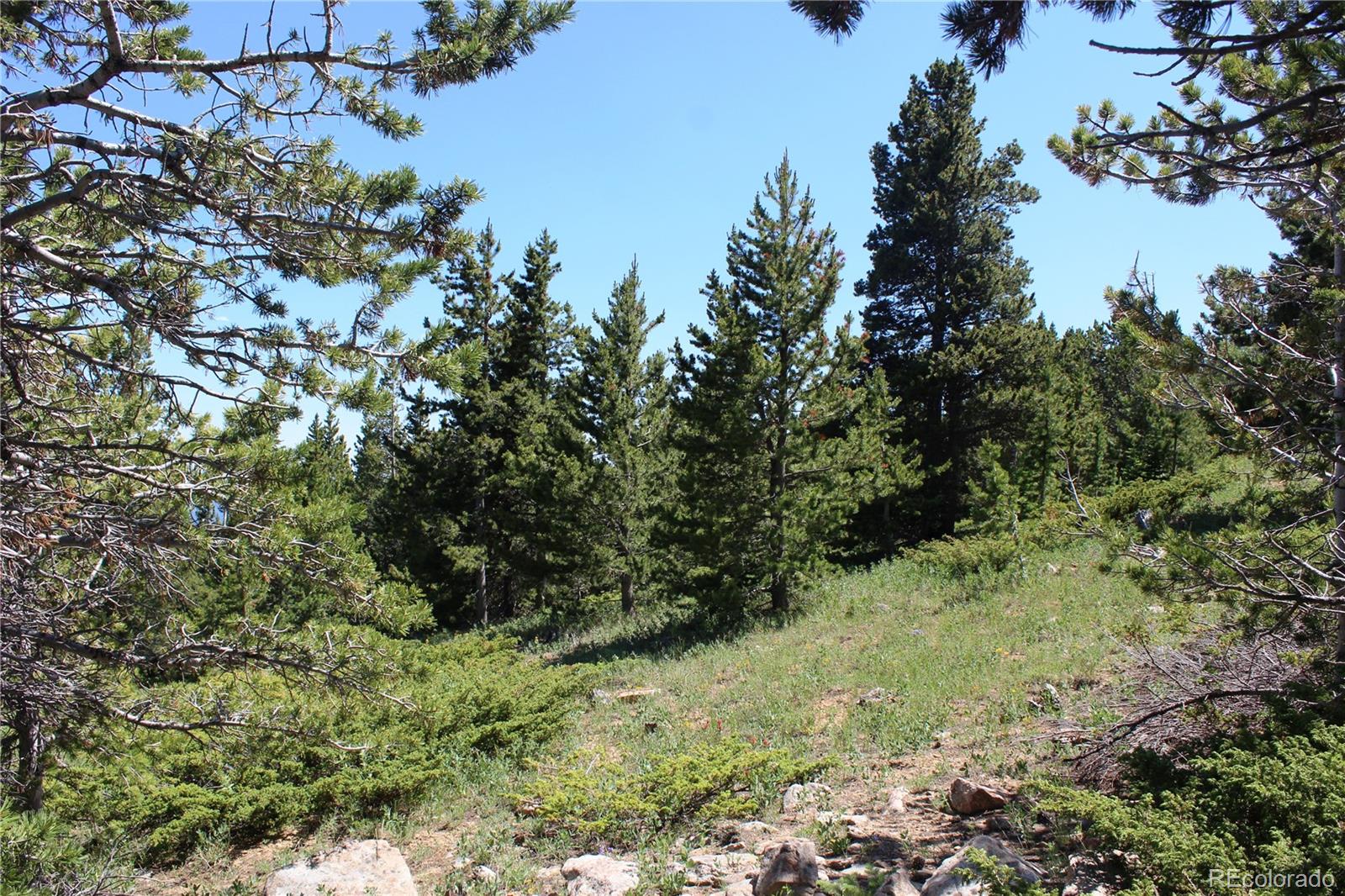 1595 Missouri Gulch Road Black Hawk, CO 80422 - Photo 45 of 49