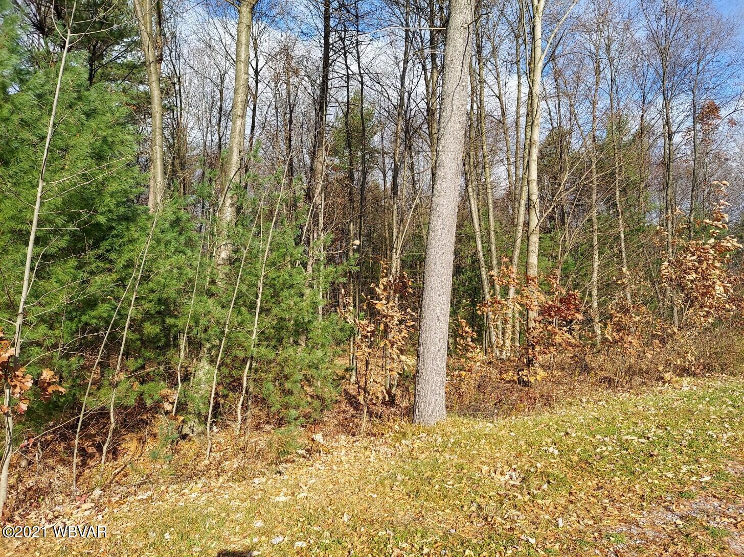 Farmdale Road Howard, PA 16841 - Photo 2 of 3 Gallery Image 2