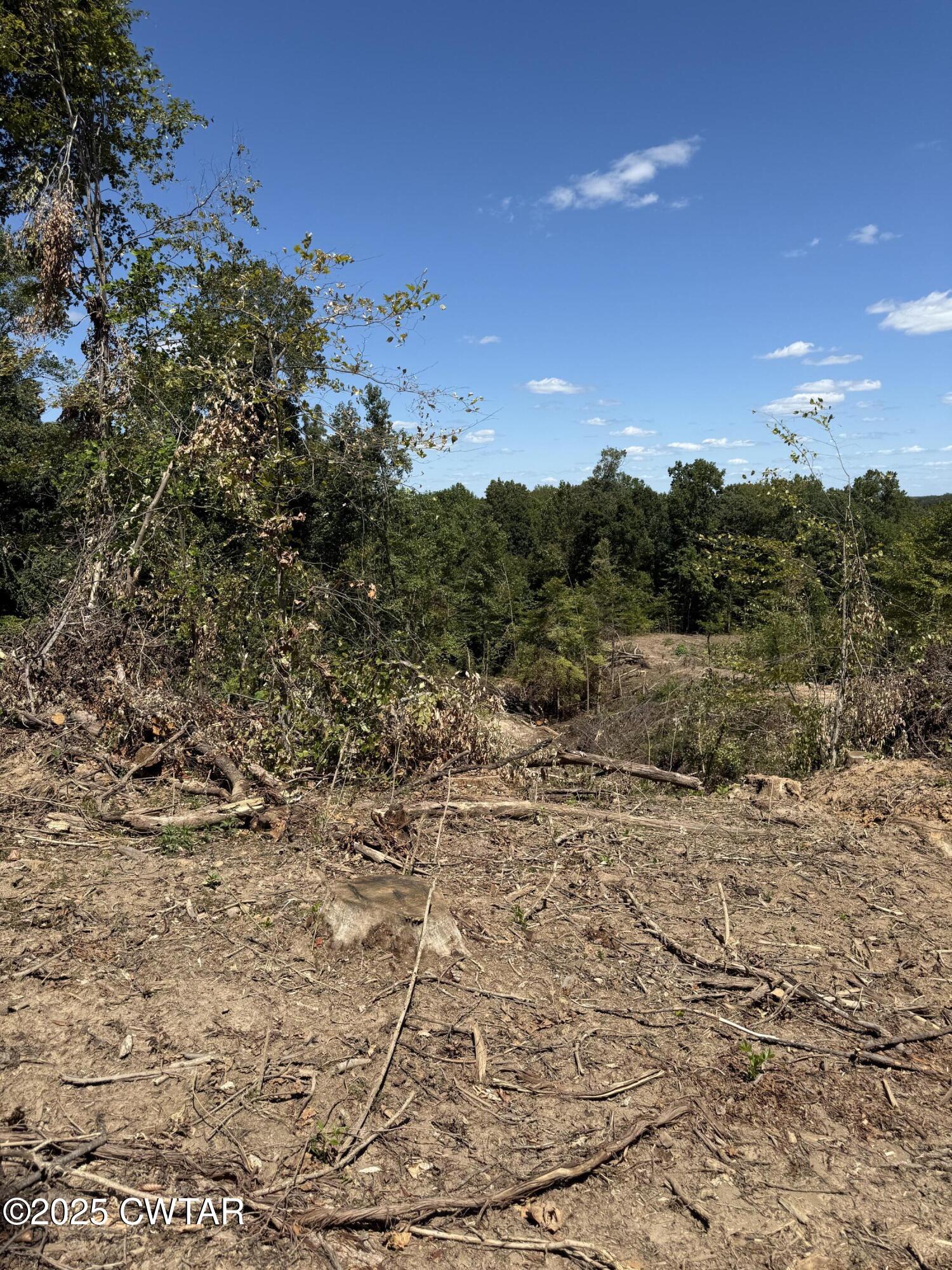 0 Whiskey Ridge Road Paris, TN 38242 - Photo 11 of 17 a view of a dry yard with trees