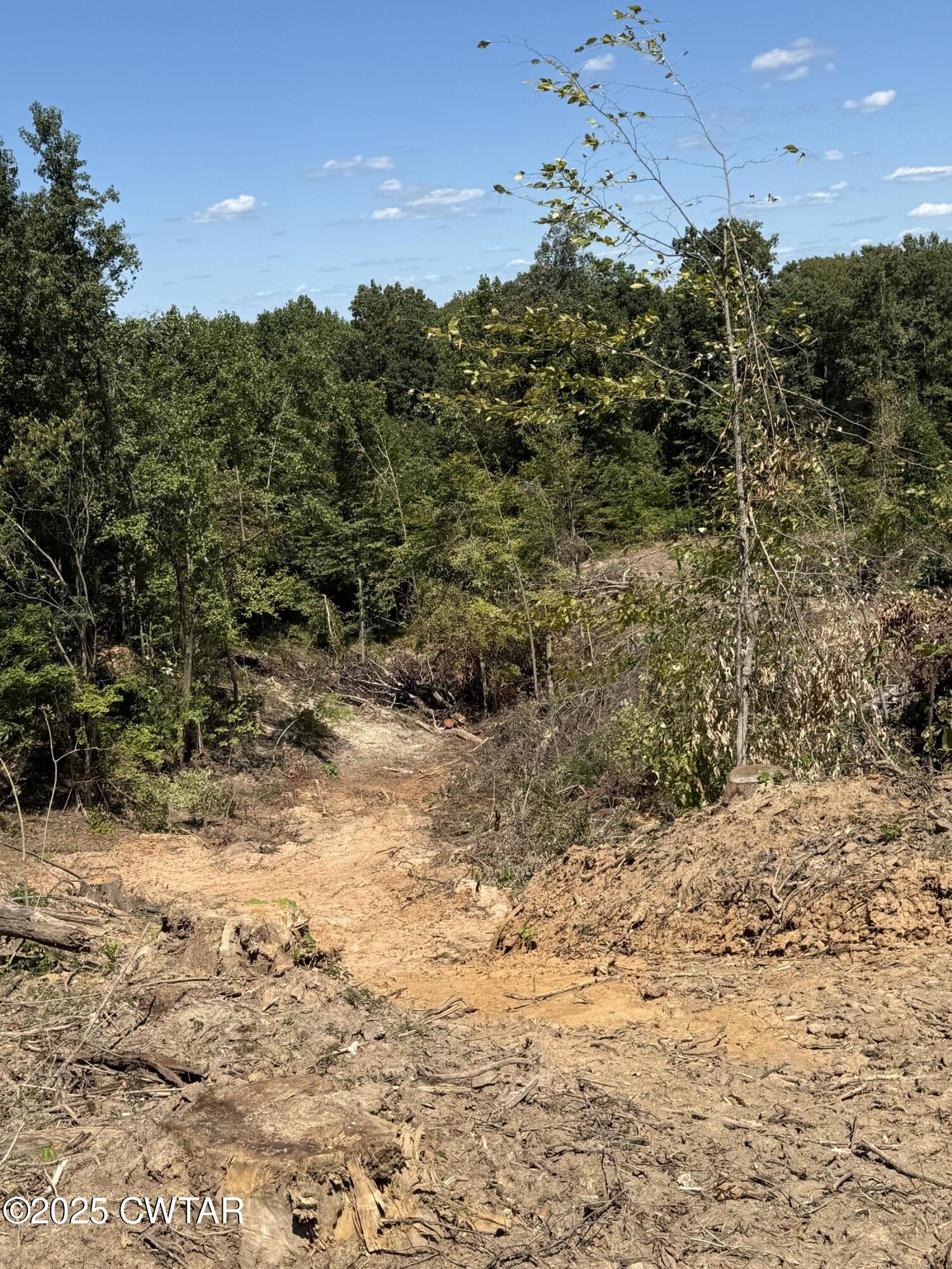 0 Whiskey Ridge Road Paris, TN 38242 - Photo 12 of 17 a view of a yard covered with snow