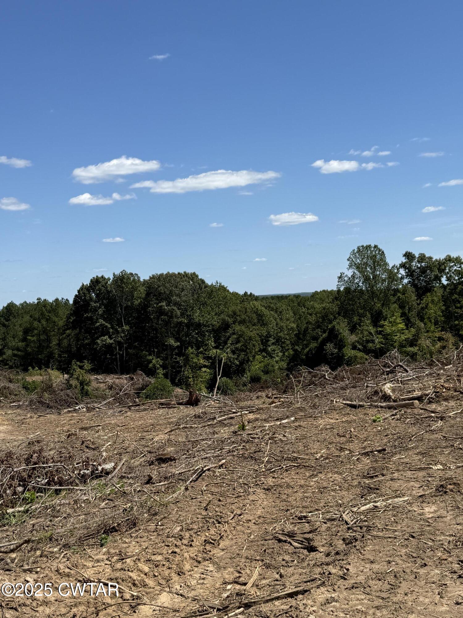 0 Whiskey Ridge Road Paris, TN 38242 - Photo 13 of 17 a view of a yard with a tree