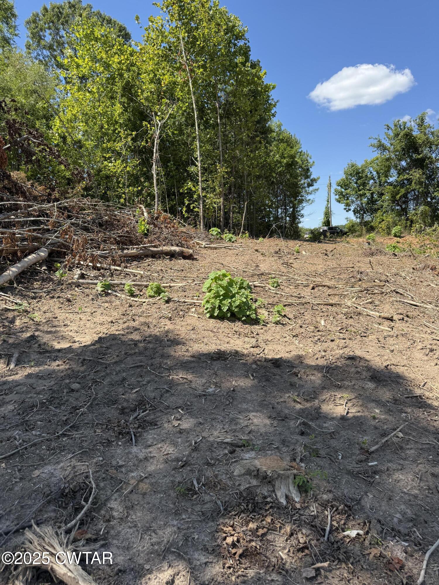 0 Whiskey Ridge Road Paris, TN 38242 - Photo 15 of 17 a view of dirt yard with a large tree
