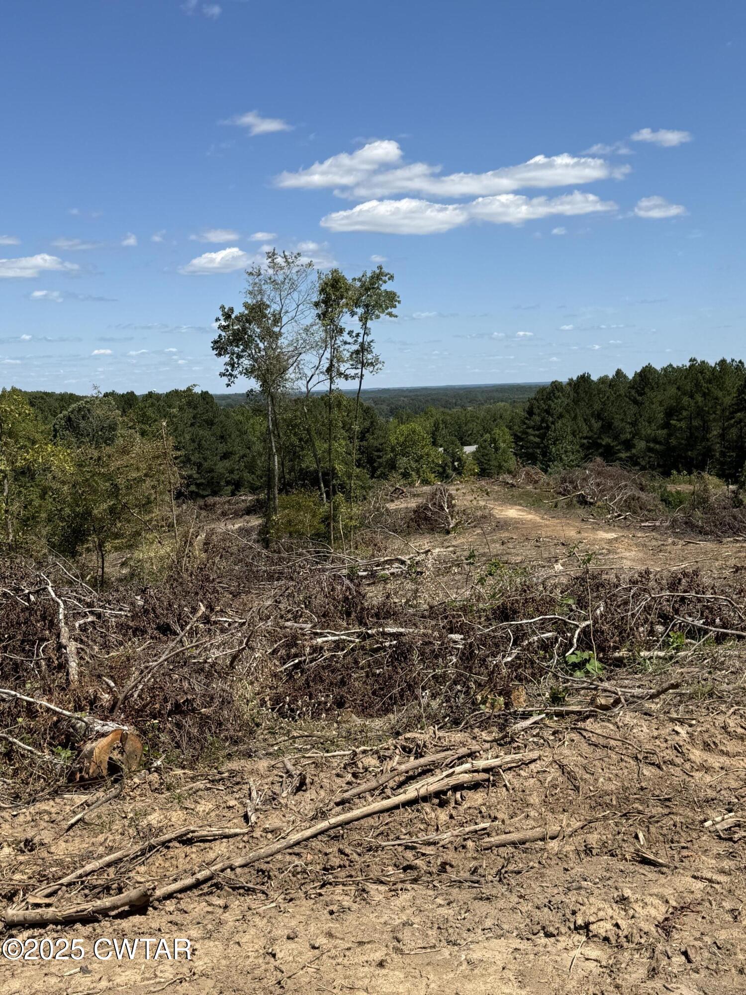 0 Whiskey Ridge Road Paris, TN 38242 - Photo 16 of 17 a view of a bunch of trees