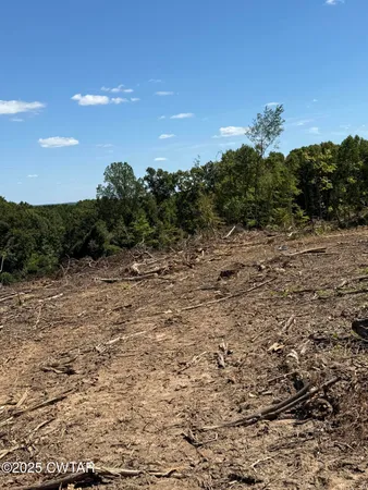 $300,000 | 0 Whiskey Ridge Road, Paris, TN 38242