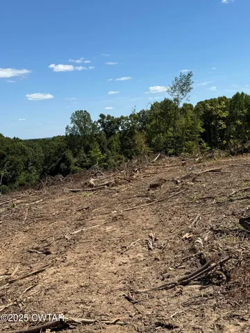 $300,000 | 0 Whiskey Ridge Road, Paris, TN 38242