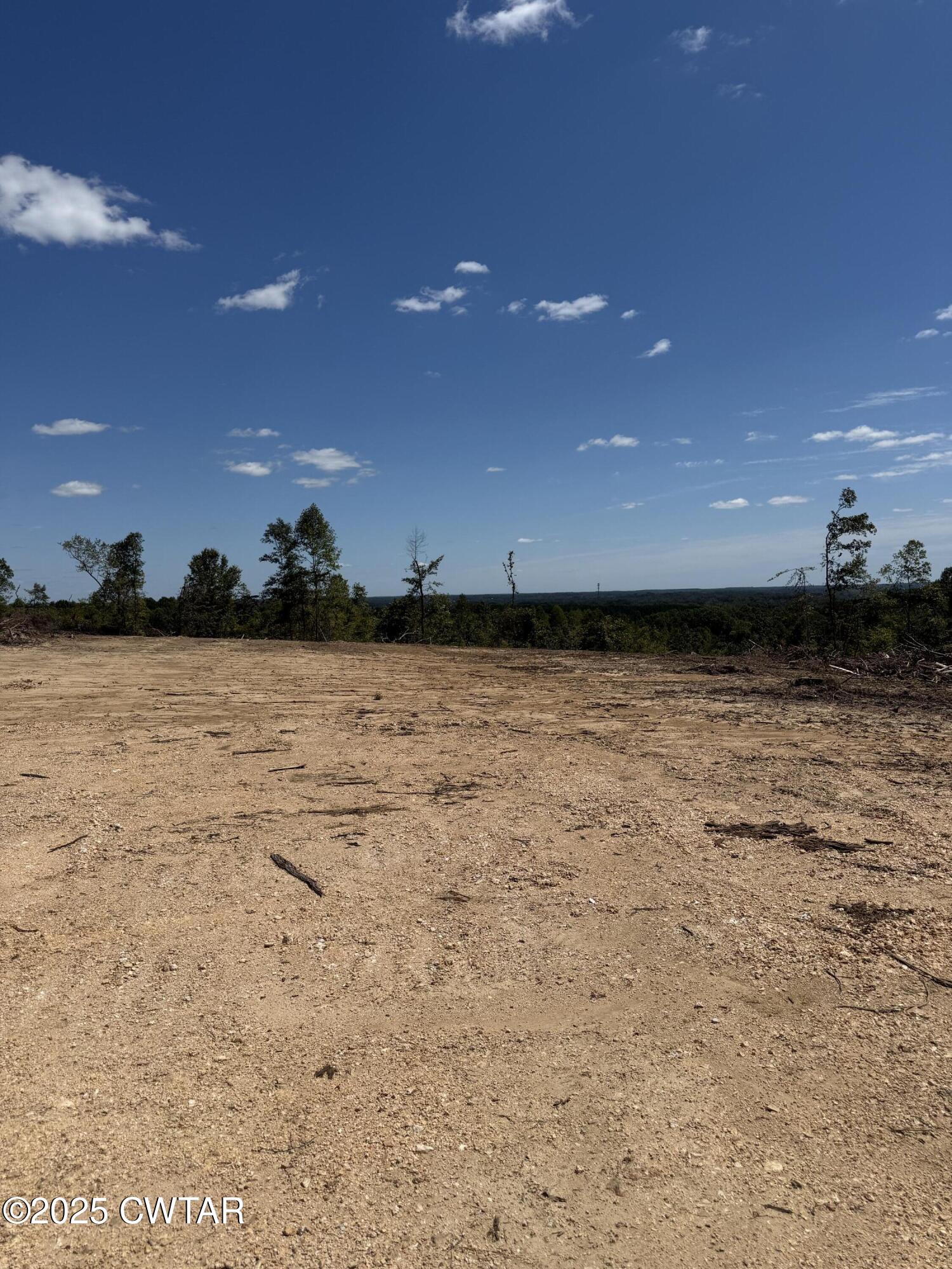 0 Whiskey Ridge Road Paris, TN 38242 - Photo 2 of 17