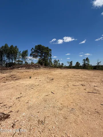 a view of a town with mountains in the background
