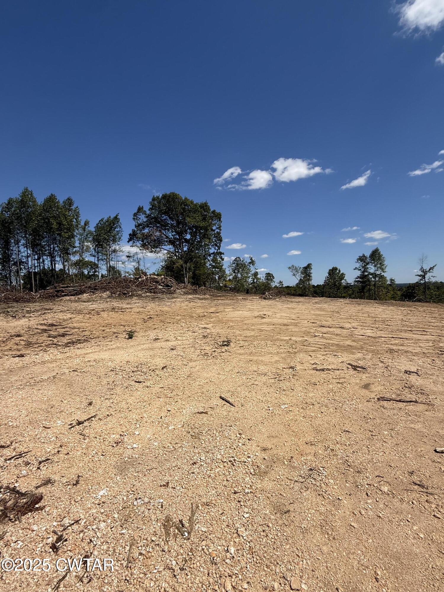 0 Whiskey Ridge Road Paris, TN 38242 - Photo 4 of 17 a view of a lake view