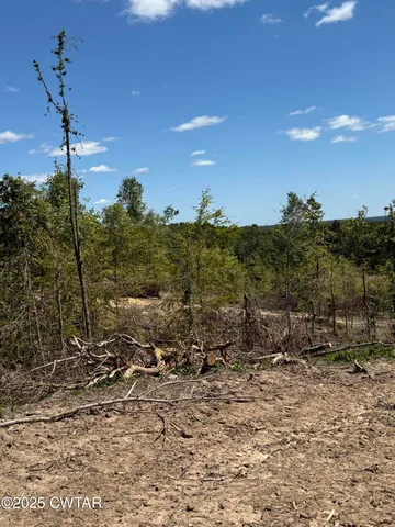 a view of a field with a tree