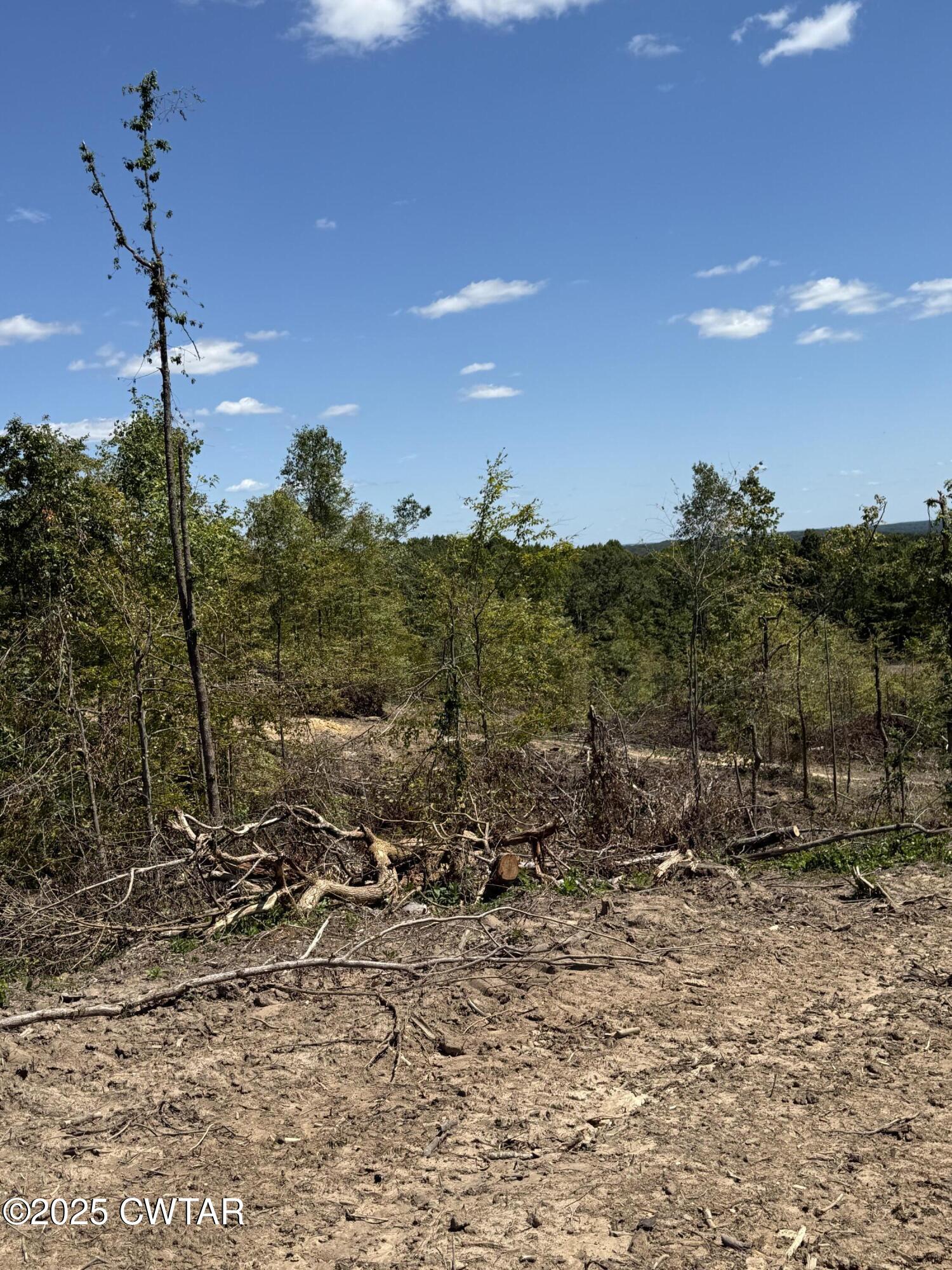 0 Whiskey Ridge Road Paris, TN 38242 - Photo 5 of 17 a view of a town with mountains in the background
