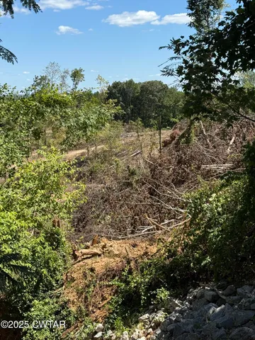 a view of a yard with an outdoor space