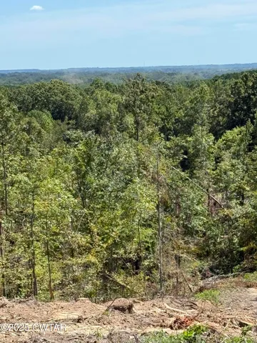 a view of a yard with an outdoor space
