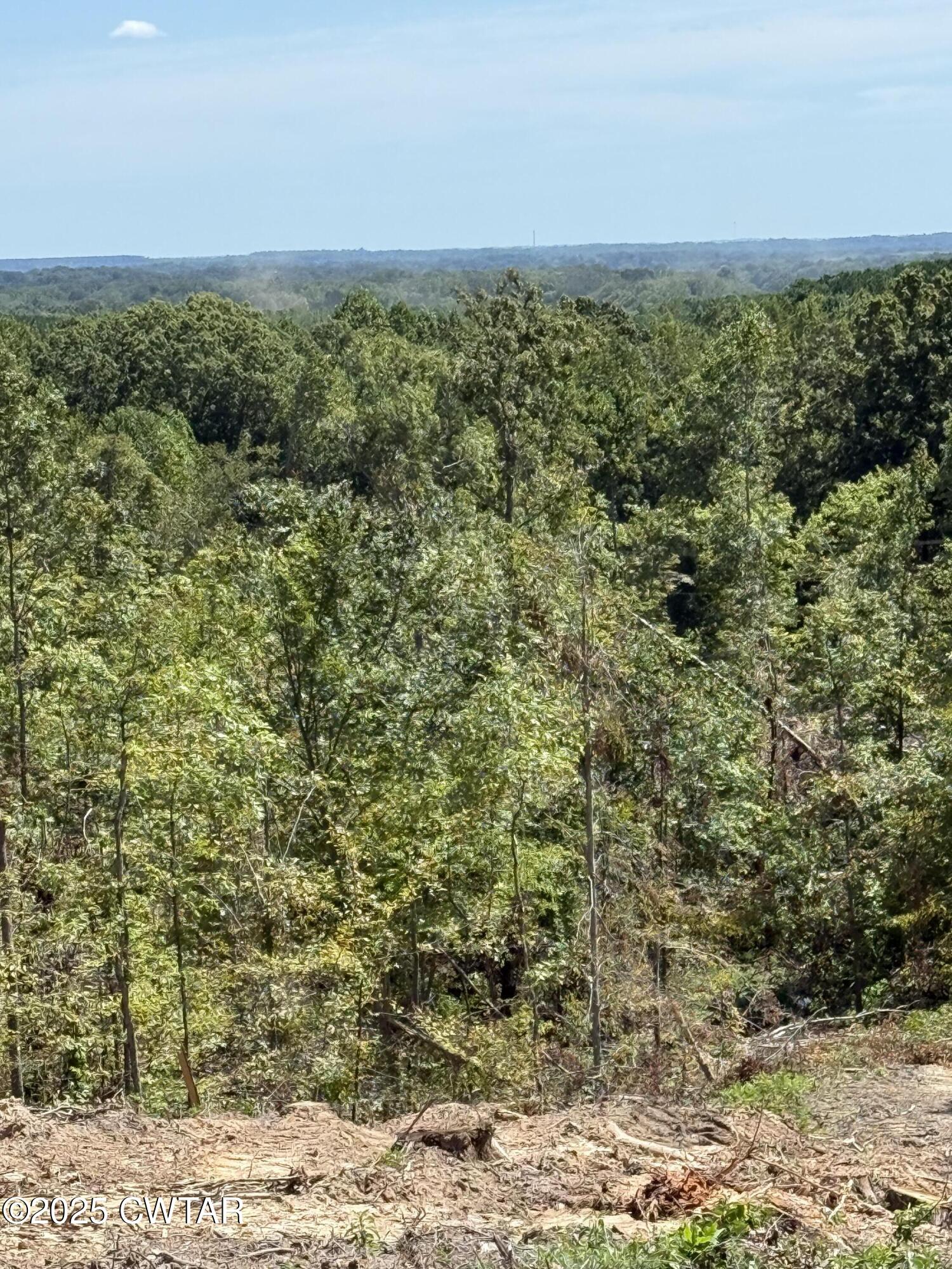 0 Whiskey Ridge Road Paris, TN 38242 - Photo 7 of 17 a view of a yard with an outdoor space