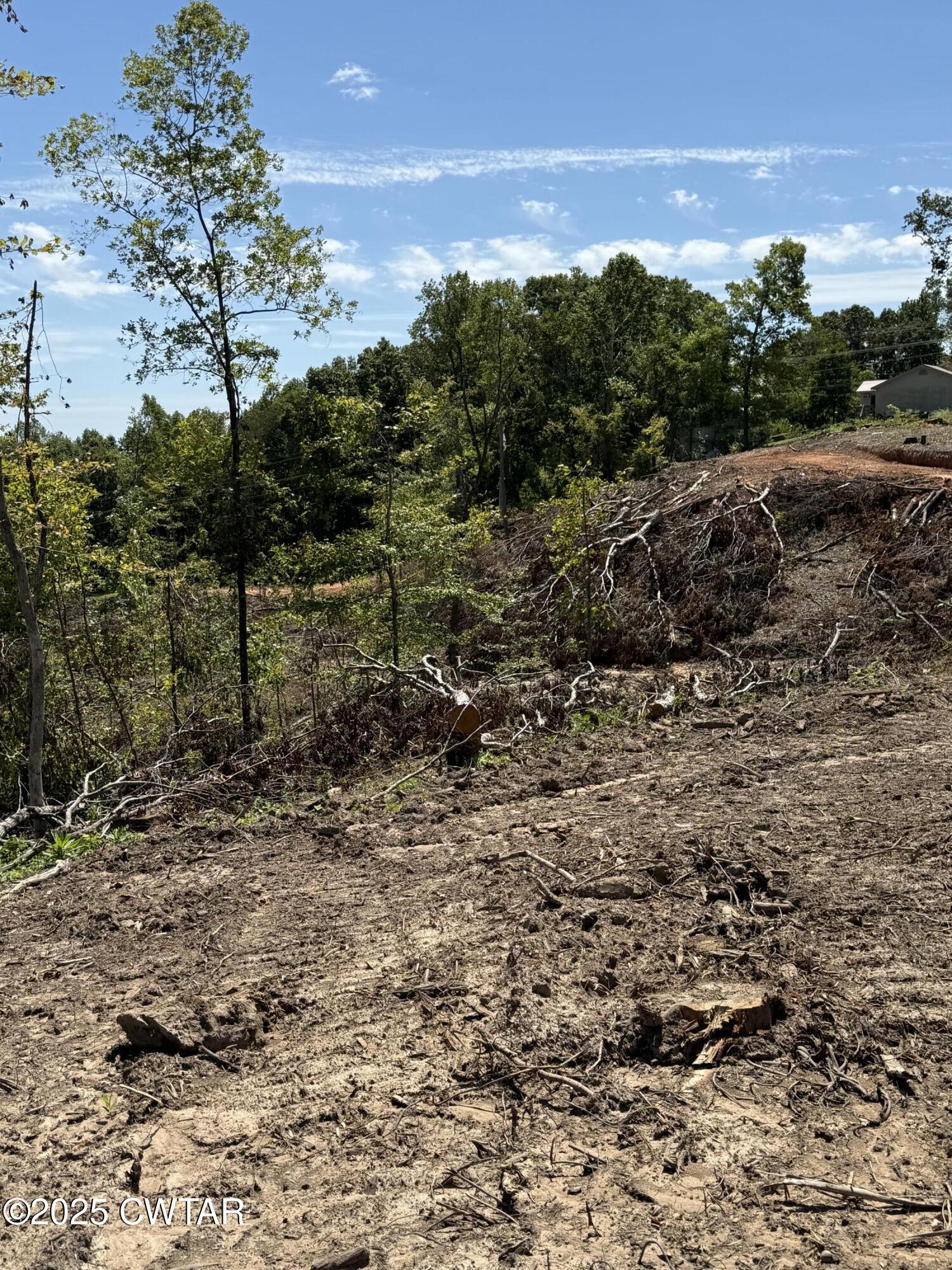 0 Whiskey Ridge Road Paris, TN 38242 - Photo 8 of 17 a view of a yard with an outdoor space