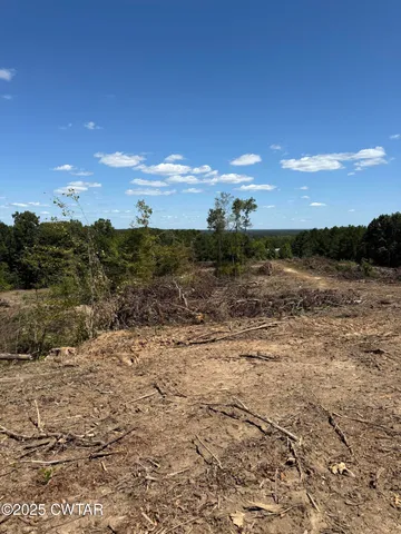 a view of a dry yard with trees