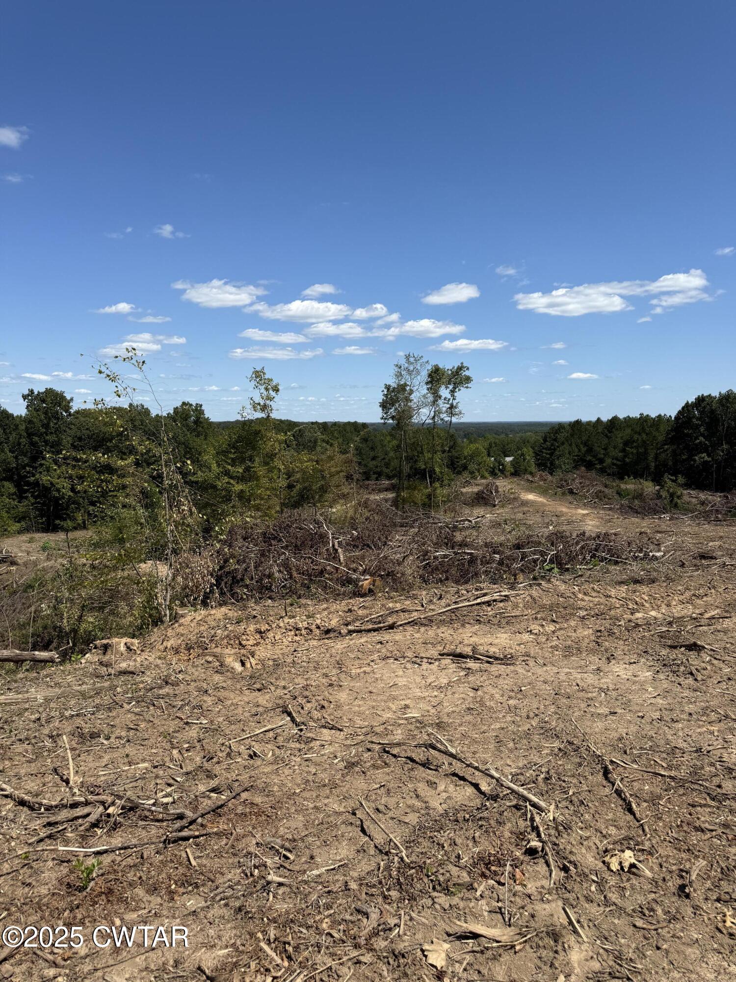 0 Whiskey Ridge Road Paris, TN 38242 - Photo 10 of 17 a view of a lake