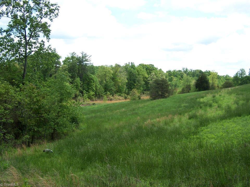 1068 Harris Bridge Road Stony Point, NC 28678 - Photo 12 of 30