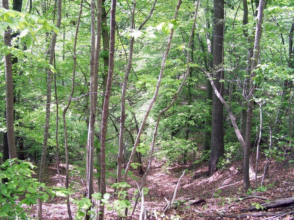 1068 Harris Bridge Road Stony Point, NC 28678 - Photo 13 of 30