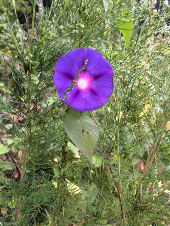 1068 Harris Bridge Road Stony Point, NC 28678 - Photo 15 of 30