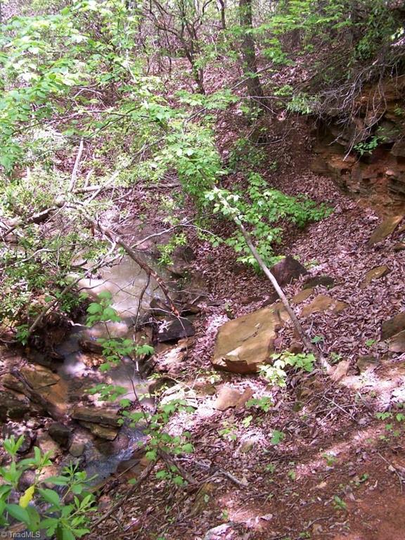 1068 Harris Bridge Road Stony Point, NC 28678 - Photo 18 of 30
