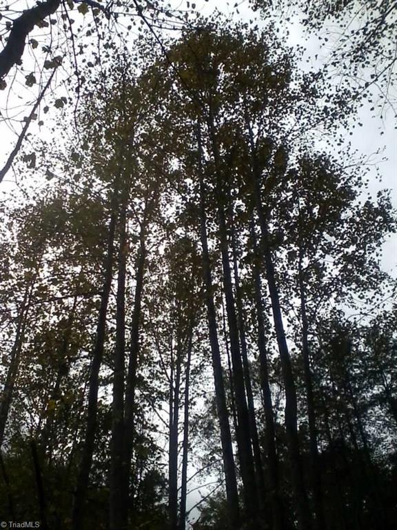 1068 Harris Bridge Road Stony Point, NC 28678 - Photo 20 of 30