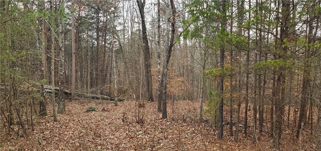 1068 Harris Bridge Road Stony Point, NC 28678 - Photo 3 of 30