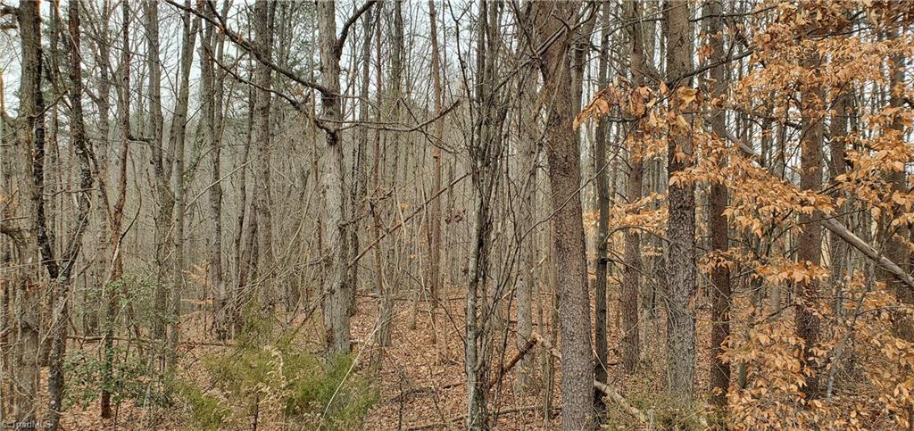 1068 Harris Bridge Road Stony Point, NC 28678 - Photo 5 of 30