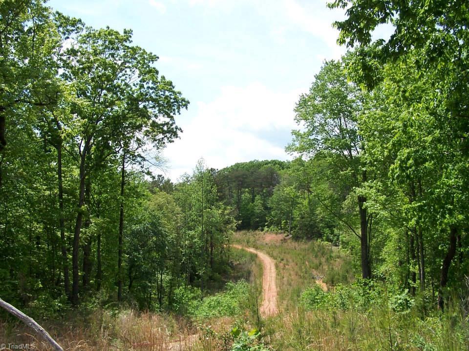1068 Harris Bridge Road Stony Point, NC 28678 - Photo 9 of 30