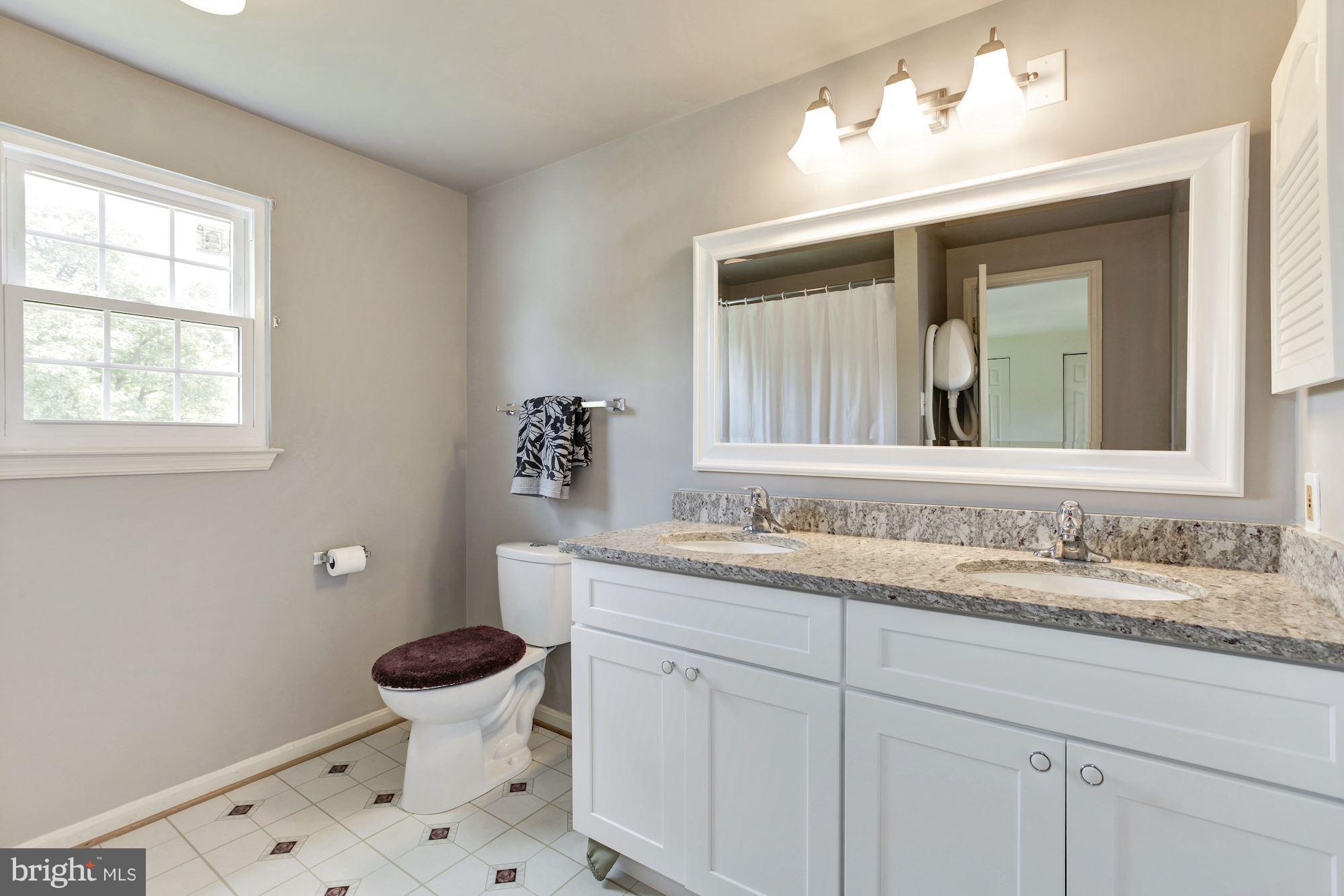 1611 Spottsworth Way Silver Spring, MD 20905 - Photo 23 of 30 Hall bath, new vanity, lighting, mirror