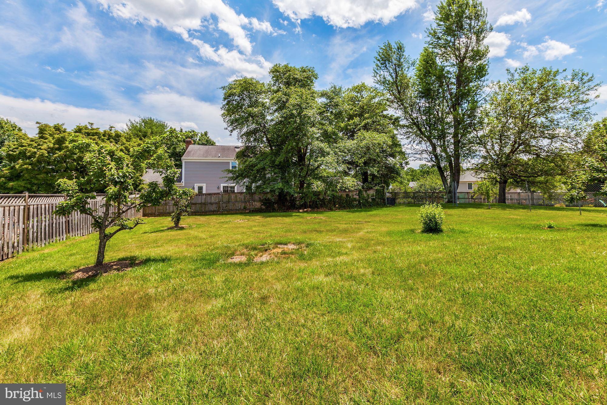 1611 Spottsworth Way Silver Spring, MD 20905 - Photo 29 of 30 Nice rear yard, pear trees, level
