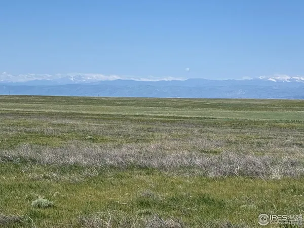a view of an outdoor space and a yard