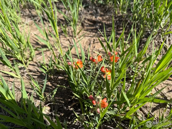 a view of beach and ocean