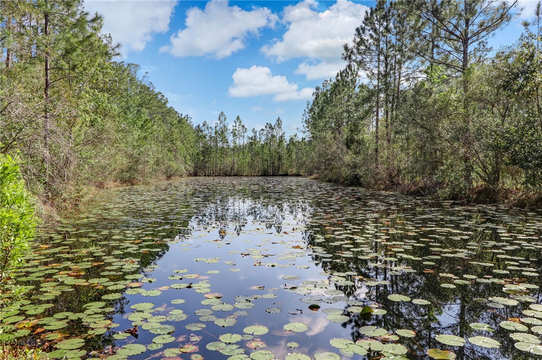 43877 Thomas Creek Road Callahan, FL 32011 - Photo 35 of 35 Gallery Image 35