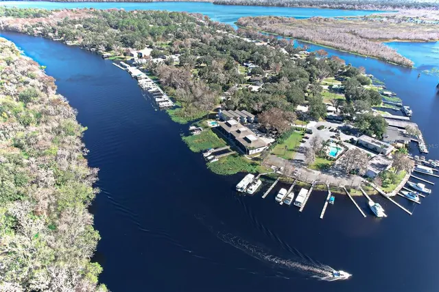 a view of backyard with large tree and wooden fence