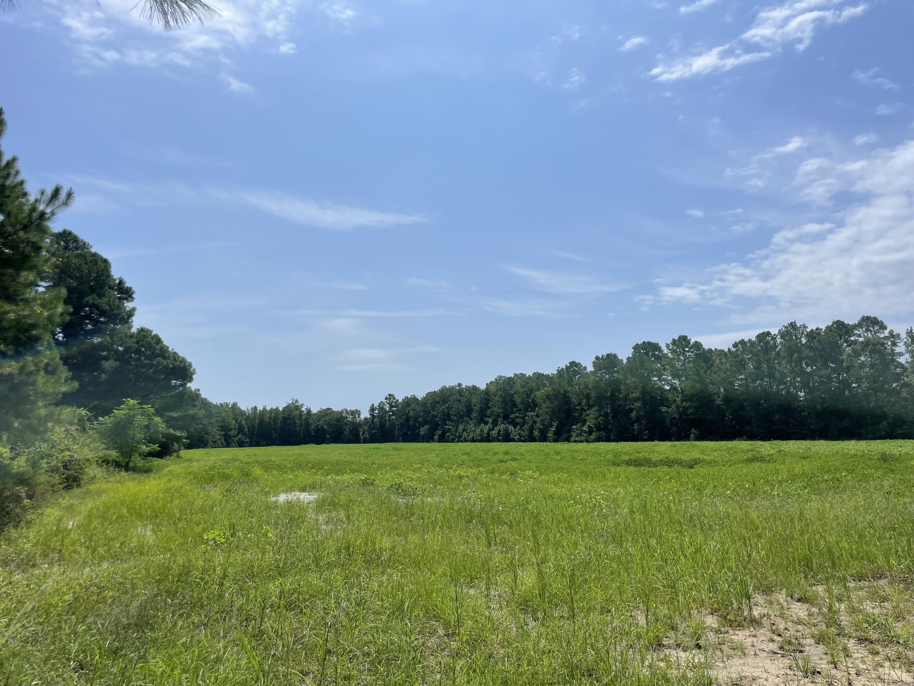 1 Cedar Creek Road Andrews, SC 29510 - Photo 12 of 12 IMG_7364