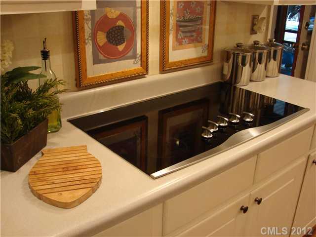 7525 Timber Ridge Drive Mint Hill, NC 28227 - Photo 3 of 16