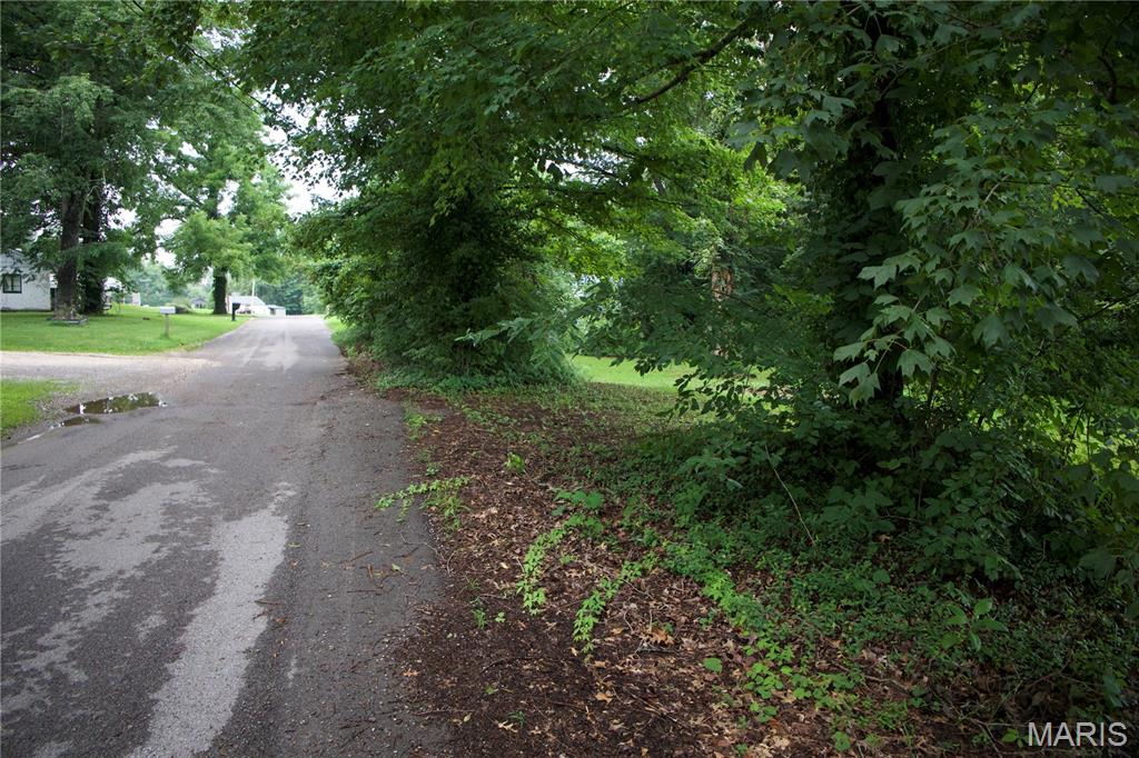 0 Ponderosa Road Chaffee, MO 63740 - Photo 7 of 8