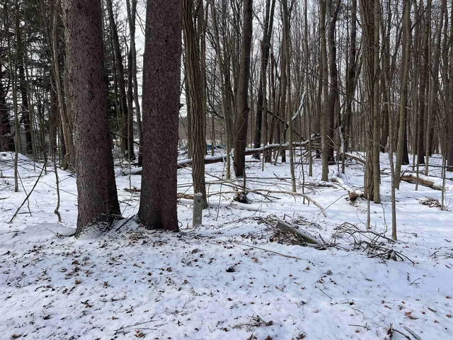 $239,000 | 1068 Route 4a West Castleton Vt 05735, Castleton, VT 05735