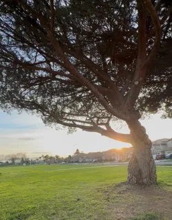 $1,398,000 | 4513 Birchwood Court, Union City, CA 94587
