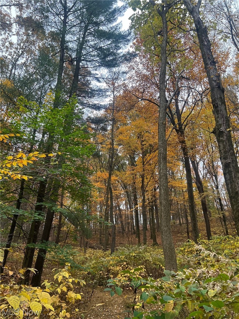 509 Spring Street Dennison, OH 44621 - Photo 12 of 15 View of nature