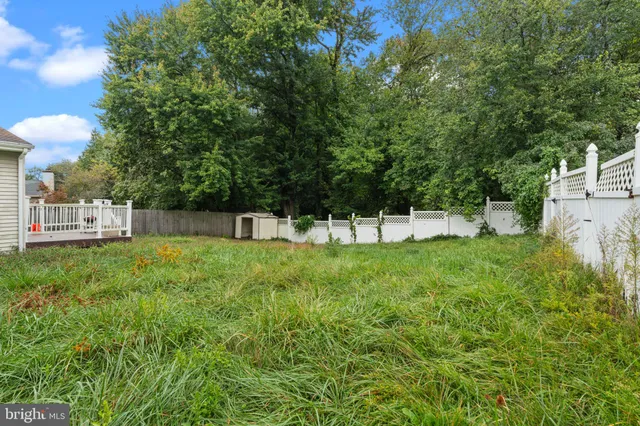 a view of a park with large trees