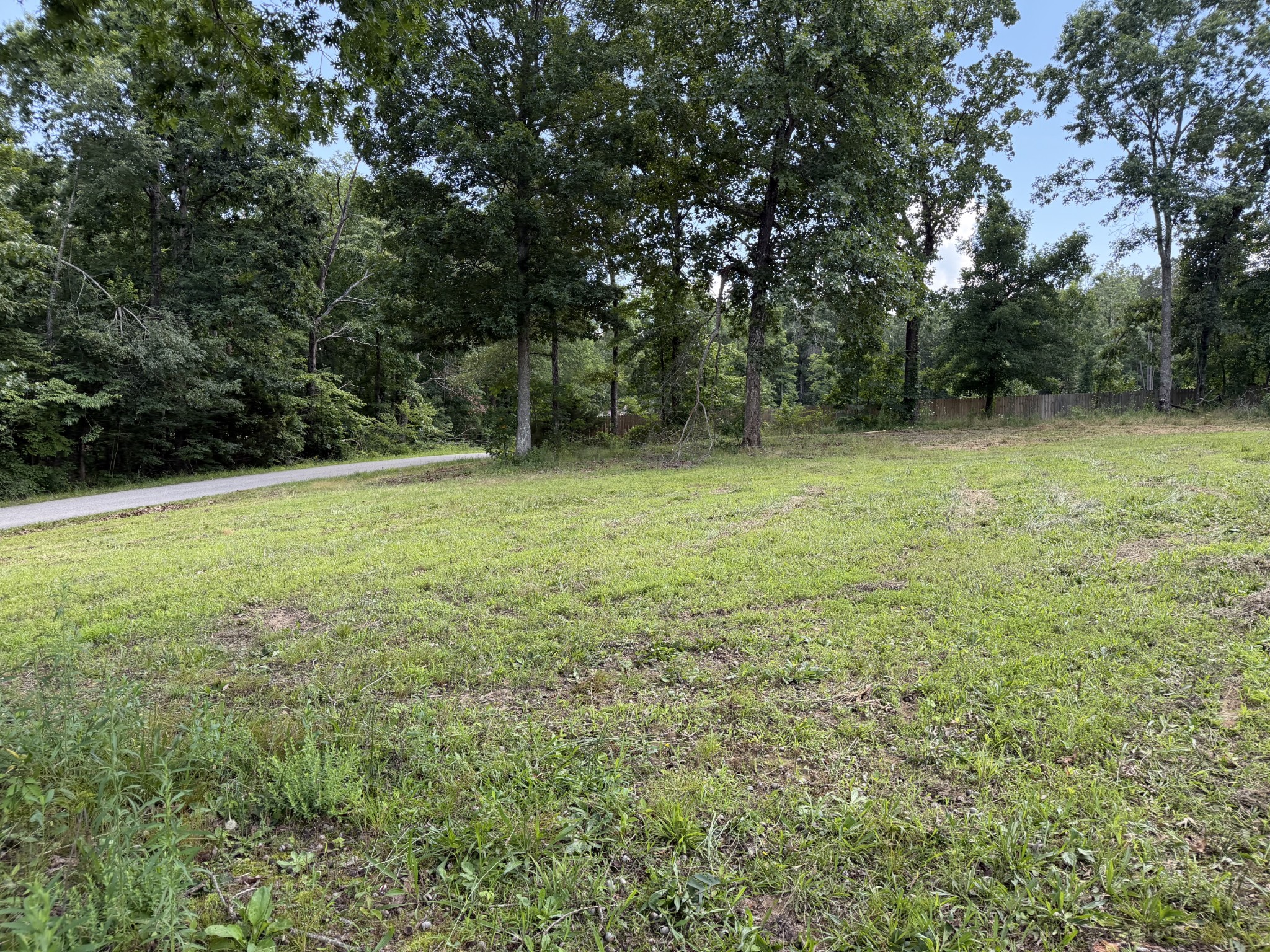 308 Mount View Road Hohenwald, TN 38462 - Photo 8 of 40