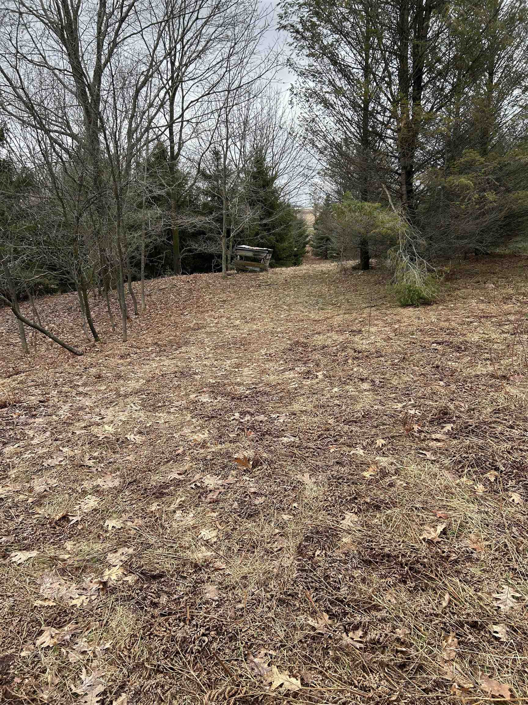 0 West Geers Road McBain, MI 49657 - Photo 5 of 5