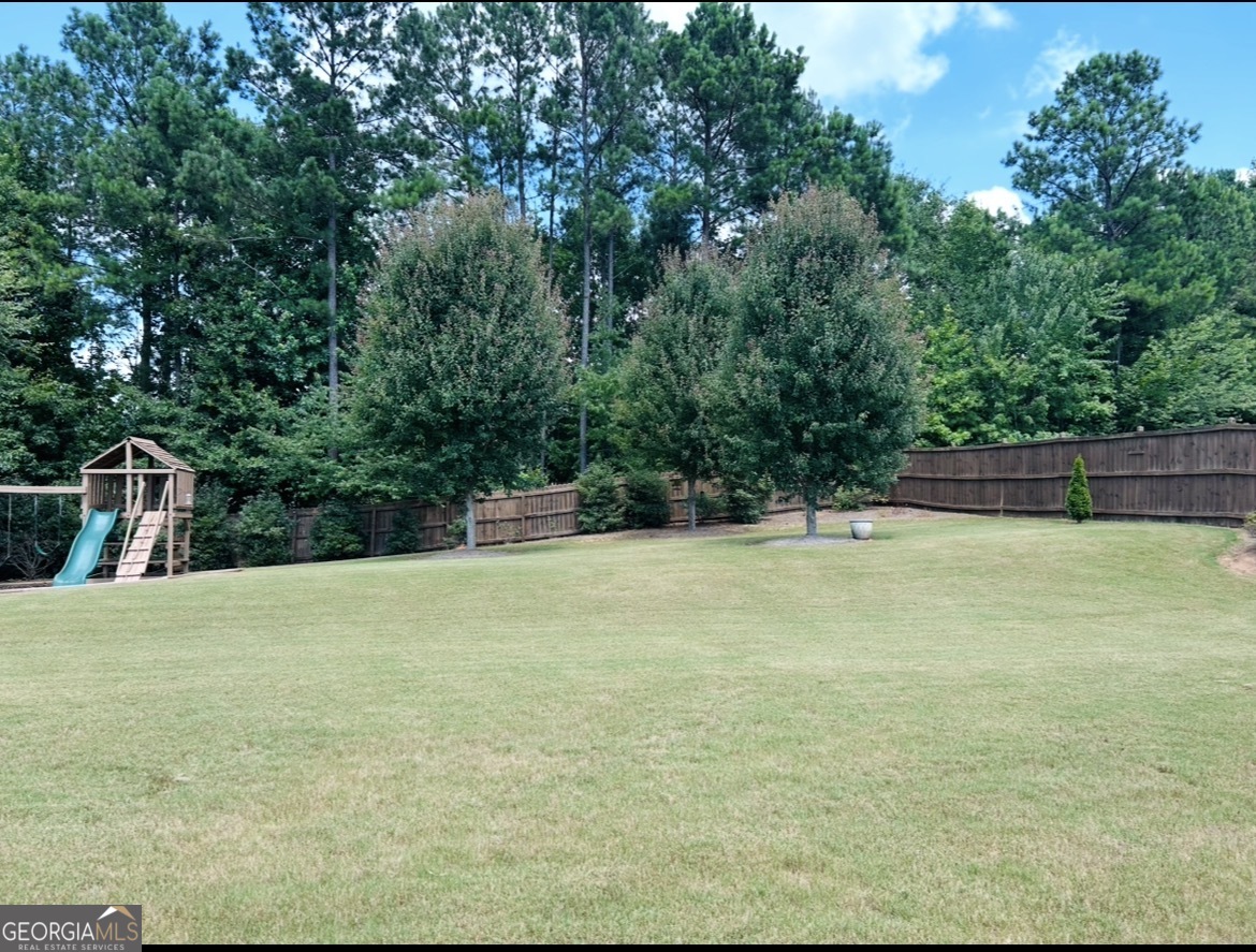 246 Thyme Leaf Way Locust Grove, GA 30248 - Photo 13 of 71