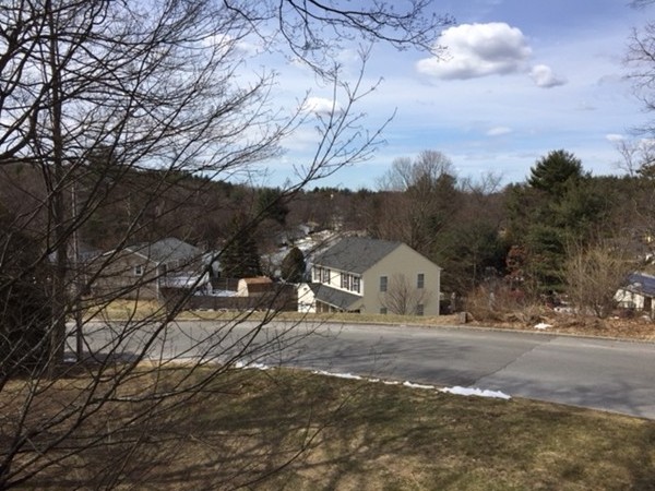 2000 Parker Street Springfield, MA 01128 - Photo 15 of 15 a view of road with large trees