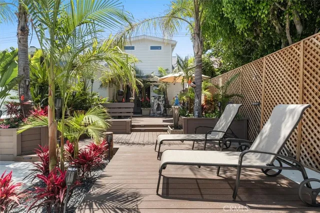 a view of plant in a garden