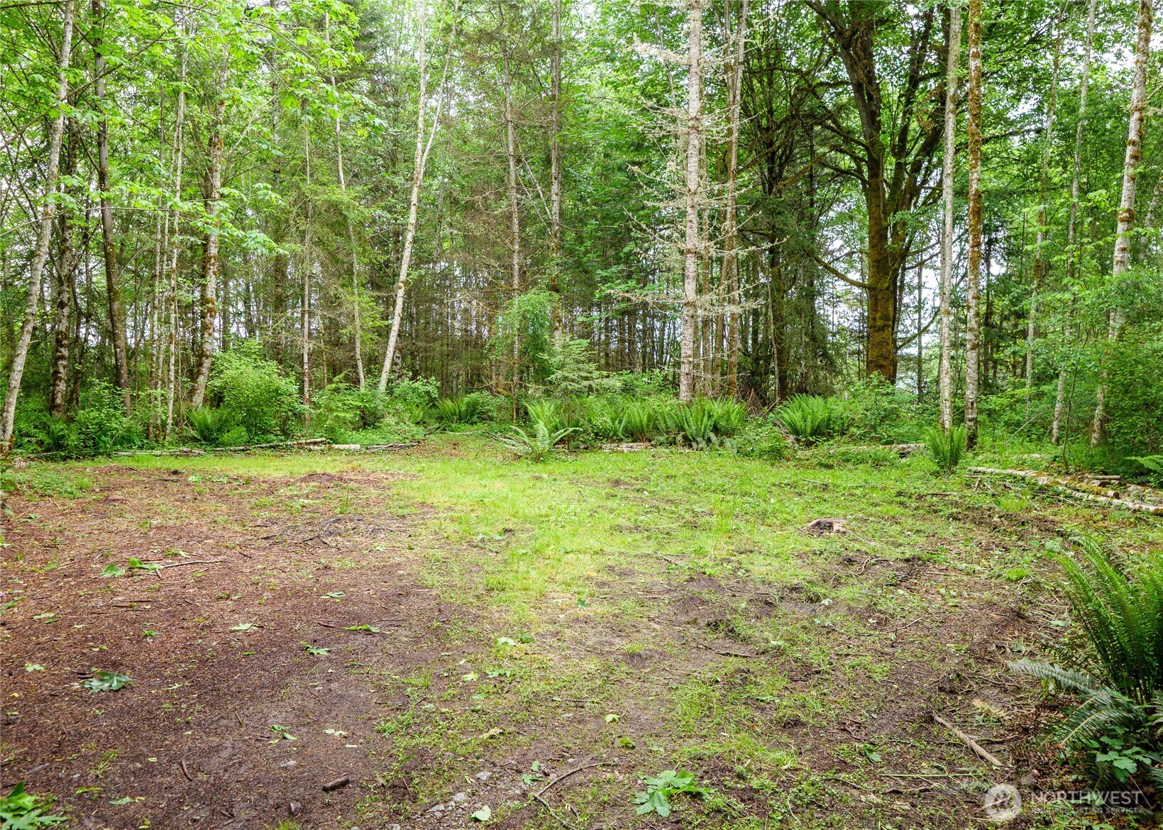 99999 Lakenes Road Quilcene, WA 98376 - Photo 1 of 13 Gallery Image 1