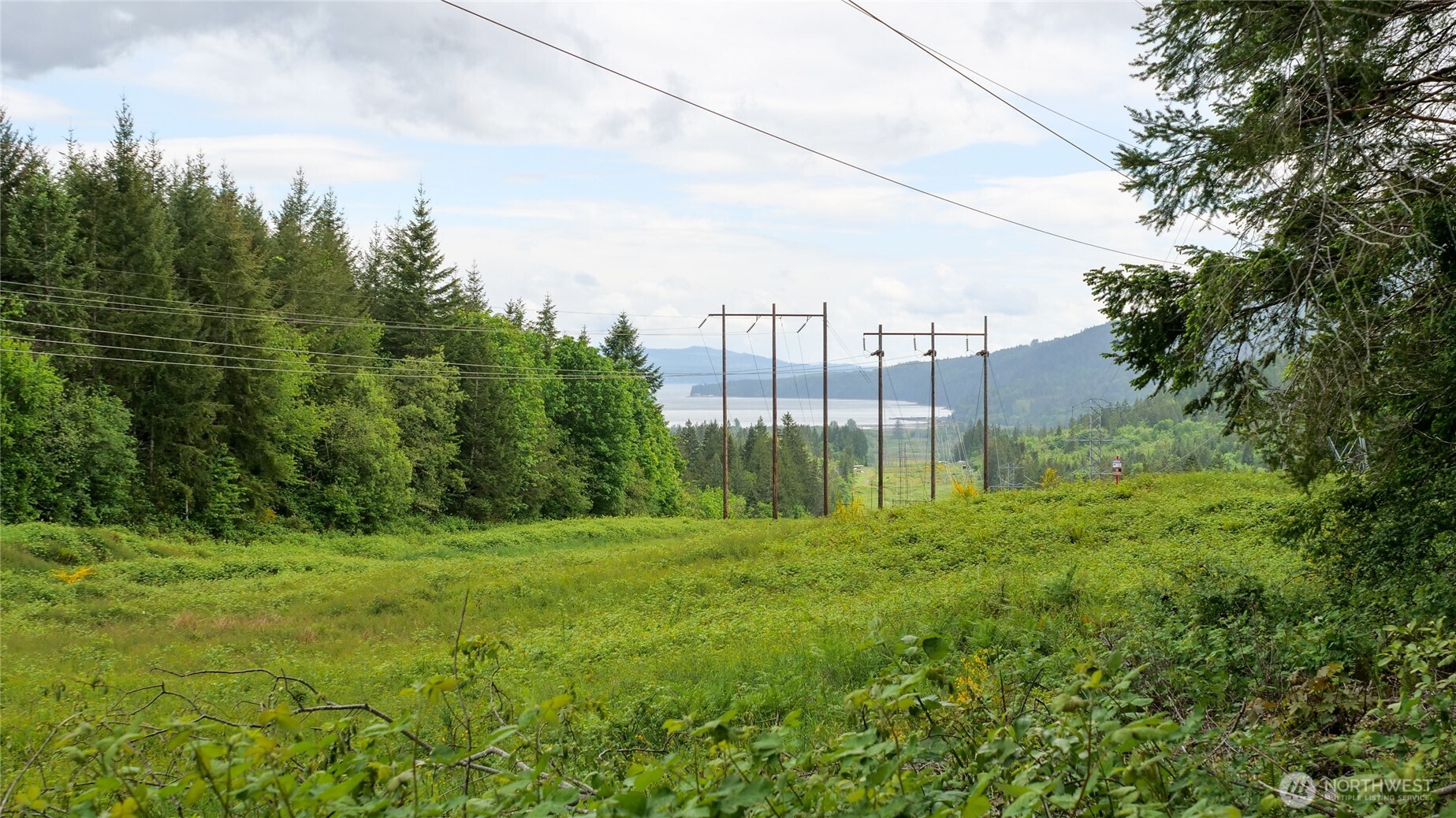 99999 Lakenes Road Quilcene, WA 98376 - Photo 10 of 13 Gallery Image 10