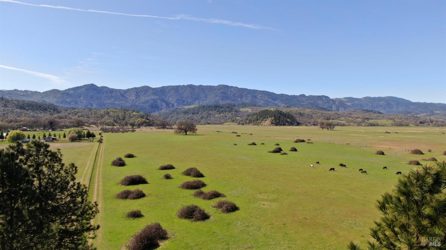 74200 Covelo Road Covelo, CA 95428 - Photo 13 of 21 a view of a mountain with a garden
